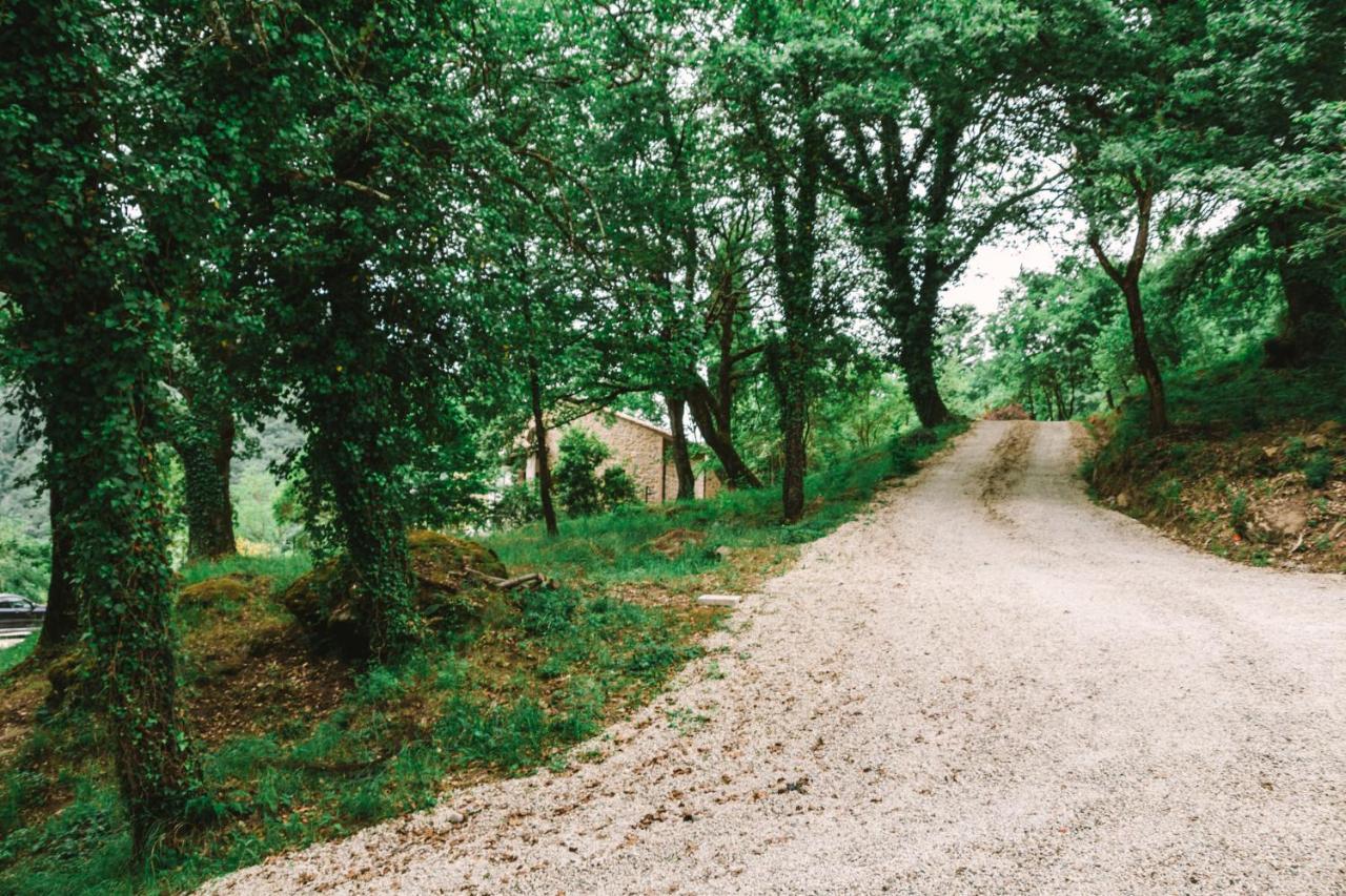Parulia Country House Arezzo Exteriér fotografie
