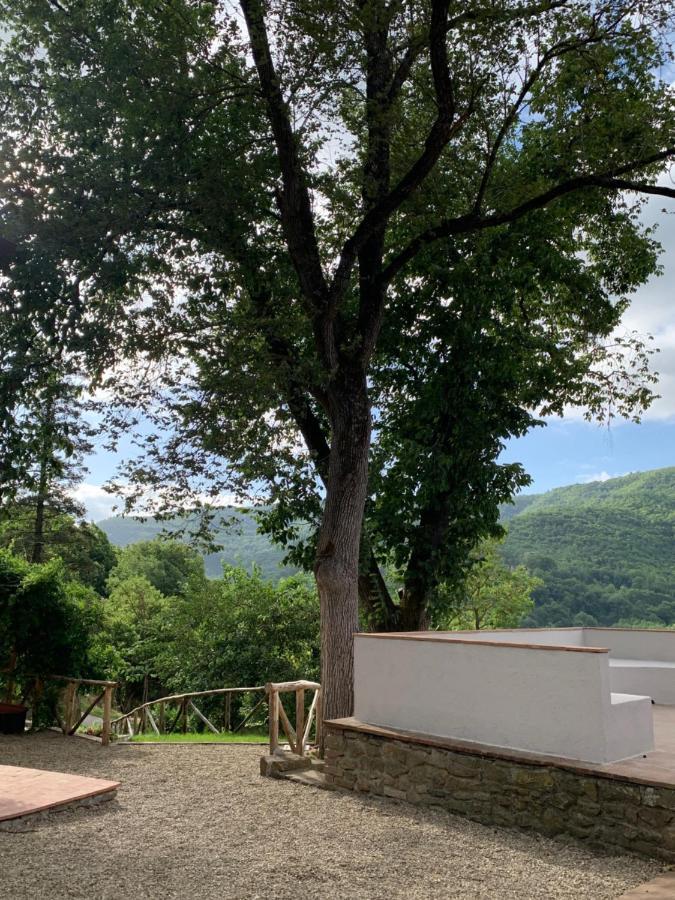 Parulia Country House Arezzo Exteriér fotografie