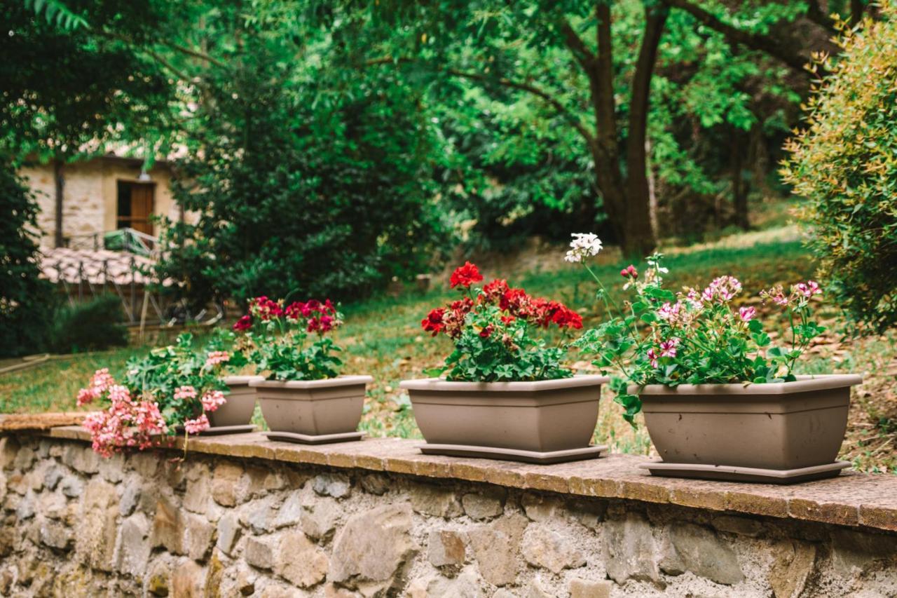 Parulia Country House Arezzo Exteriér fotografie